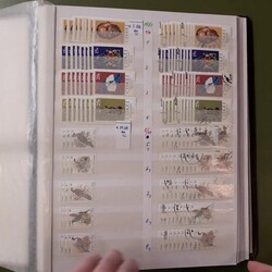 CISKEI - meist ** Händlerlager ab 1981 im Klemmbinder, hier fast ...