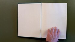 SURINAM - Slg., hauptsächl. der Jahre 1961/88 ** ziemlich kpl. mit ...