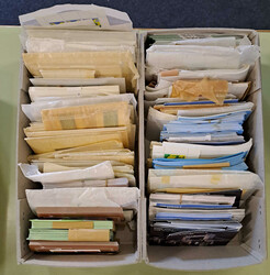 SURINAM - umfangr. Posten v. Blocks sowie vielen Kleinbogen in 3 ...