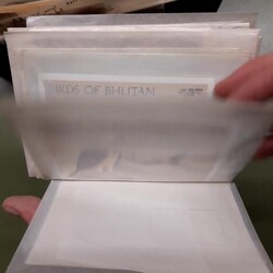 BHUTAN - enormes ** Tütenlager in 4 vollen Schachteln, mit grosser ...