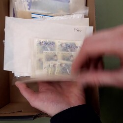 VANUATU - schöne ** Tütenpartie mit vielen herrl. Motiv-Ausg., vor ...