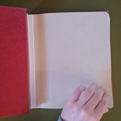 ÖSTERREICH - kpl., hauptsächl. ** Slg., sauber in 2 Leuchtt ...