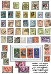SCHWEIZ - tolle, doppelt geführte Slg., sauber in 2 fetten ...