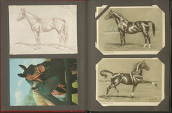 PFERDE - Slg. v. über 200 meist farbigen Motiv-Karten mit ...