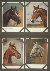 PFERDE - Slg. v. über 200 meist farbigen Motiv-Karten mit ...