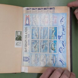 Bild austauschen