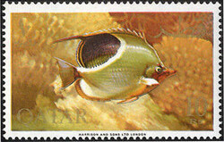 Fische 1965 tadellos **. Mi. 150,- €Automatically generated ...