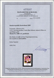 Bild austauschen
