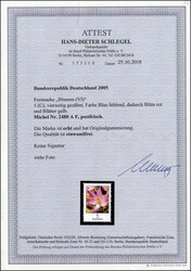Bild austauschen
