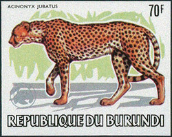 2025: Burundi