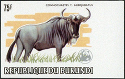 2025: Burundi