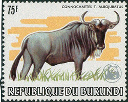 2025: Burundi