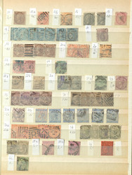 3005: India - Collections