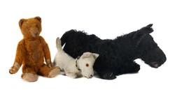 700.20: Teddies