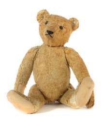 700.20: Teddies