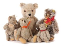 700.20: Teddies