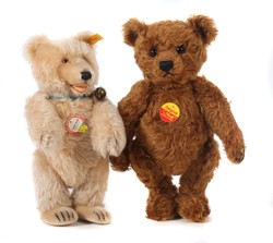 700.20: Teddies
