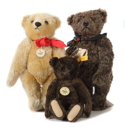 700.20: Teddies
