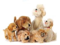700.20: Teddies