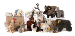 700.20: Teddies