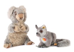 700.20: Teddies