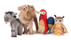 700.20: Teddies