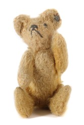 700.20: Teddies