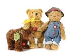 700.20: Teddies