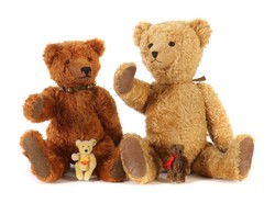 700.20: Teddies