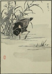 20.15: Asiatika - Japan