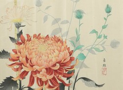 20.15: Asiatika - Japan