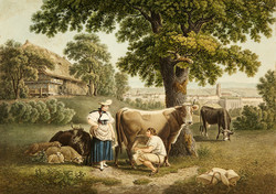 1000.900: Regional items - Helvetika