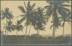 175: German East Africa - Postal stationery