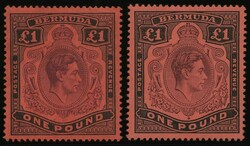 1880: バミューダ諸島