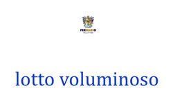 7172: Sammlungen und Posten Italien Besetzte italienische Gebiete