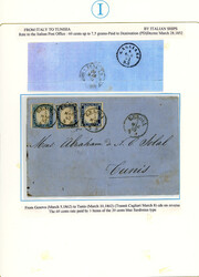 1862 - 20 cent. celeste (15Da), tre esemplari uno con tinta diversa, ...