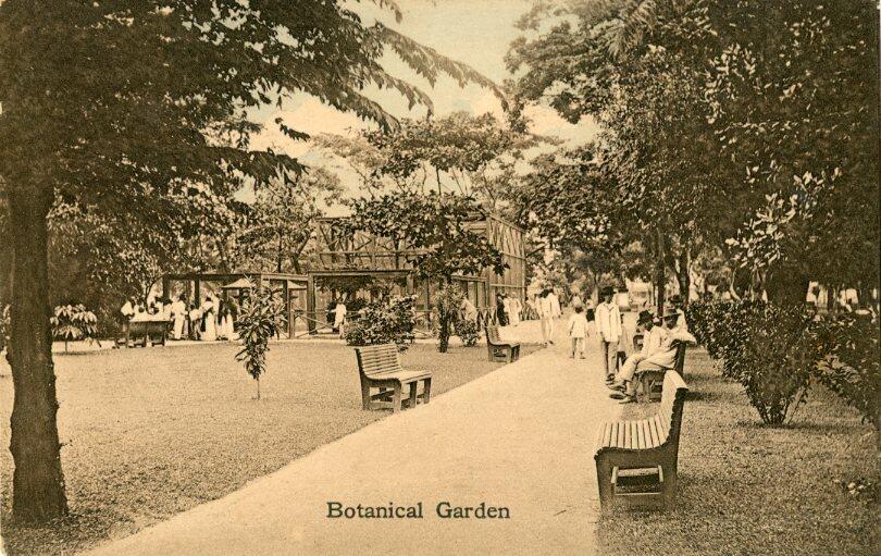Postcards Philippines: Unused postcard titled ‘Botanical Garden’. ...