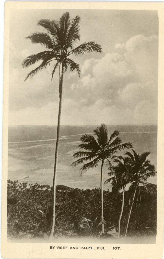 FijiFiji: Unused photo postcard titled ‘By Reef and Palm’. ed. ...