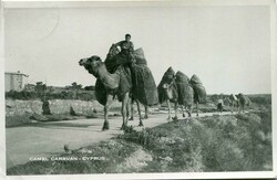 1953 Cyprus Camel Caravan Photocard to Germany Cyprus: 1953 photocard ...