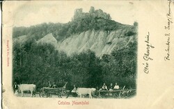 Romania Iasi Neamt Castle 1900 Romania: 1900 postcard of Neamt castle ...