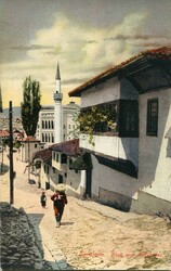 1920: Bosnia and Herzegowina Austria
