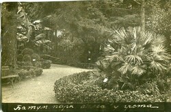 Republics Georgia: 1932 (30 August). Postcard to Germany franked with ...