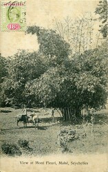 Seychelles Seychelles: Unused postcard titled ‘View at Mont Fleuri, ...