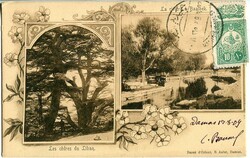 Postal History Ottoman Syria: 1909 postcard of Baalbek and Cedar ...