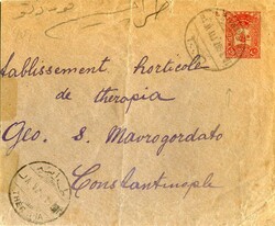 Ottoman &amp; LevantOttoman Greece: 1907 (10 March). 20pa postal ...