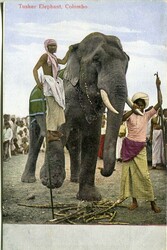2045: Ceylon