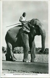 2045: Ceylon