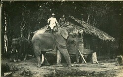 2045: Ceylon