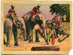 India India: 1907 Grand Exhibition India in Hagenbeck, Netherlands. ...