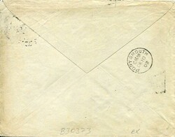 Postal History Egypt: 1902 Ostrich and Giraffe animals advertising ...